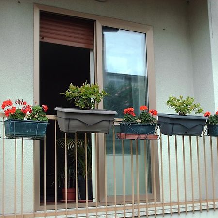 Guest House Cuore Del Friuli 우디네 외부 사진