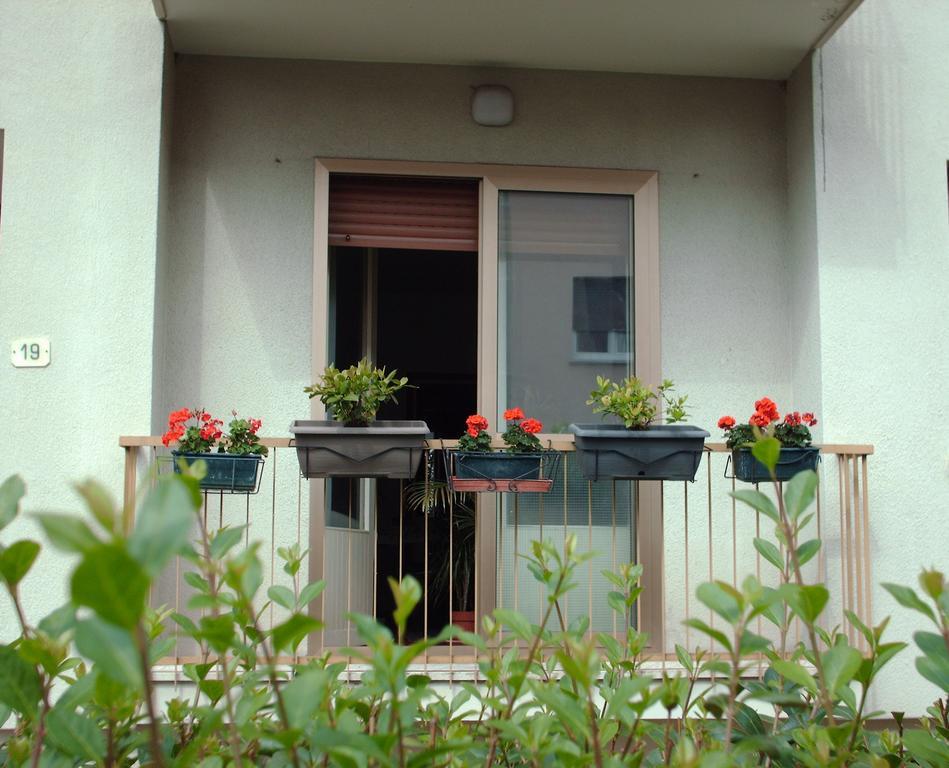 Guest House Cuore Del Friuli 우디네 외부 사진