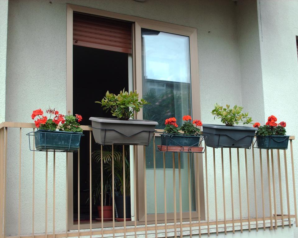 Guest House Cuore Del Friuli 우디네 외부 사진
